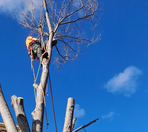 Hortum Tree Services - Jerrabomberra, NSW