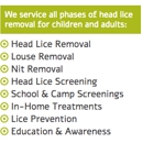 Lice Free Noggins NJ - Natural Lice Removal and Lice Treatment Service - Scalp Care