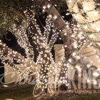 Christmas King Light Install Pros Newport Beach