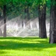 Hampton Roads Irrigation & Landscape