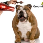 Groomingdales Pet Salon