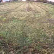 Gallery Image Number 3