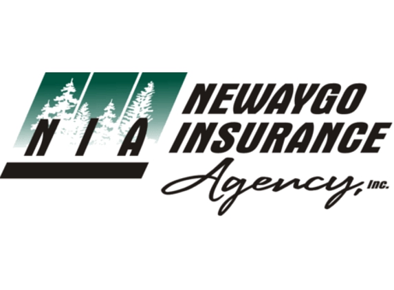 Newaygo Insurance - Newaygo, MI