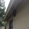 Best Bee Removal In Florida gallery