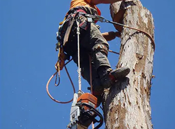Mckill's Tree Service - Berrambool, NSW