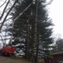 Johnson's Tree Service and Landscaping