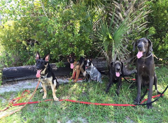 The 1 Dog Trainer Academy - Deltona, FL