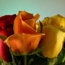 Walnut Creek Florist - Florists