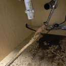 A+ Express Drain Cleaning & Plumbing - Plumbing-Drain & Sewer Cleaning