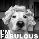 Ralph's Hair Design - Beauty Salons