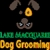 Lake Macquarie Dog Grooming - Dog & Cat Clipping & Grooming