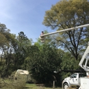 Lake City Tree Service, Call Shane - Tree Service