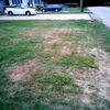 Turf Masters Lawn Care Inc gallery