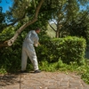 Pest Busters USA gallery
