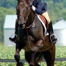 Turn Crest Equestrian Ctr - Horse Training