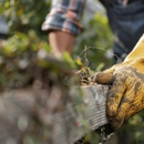 Trees Unlimited NJ - Tree Service