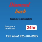 Diamondback Cleaning & Restoration
