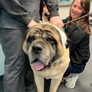Airport Animal Emergi-Center - Veterinary Clinics & Hospitals