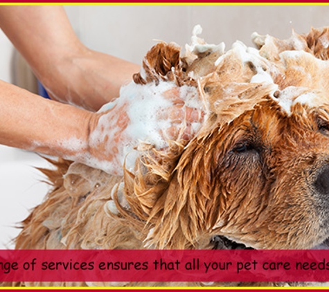 Clematis Boarding Kennels - Clematis, VIC. Our wide range of services ensures that all your pet care needs will be met.