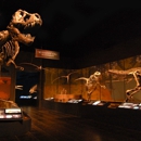 Tellus Science Museum - Museums