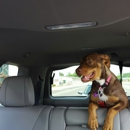 Dog Days Inn - Pet Boarding & Kennels