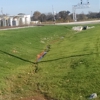 Hudson Hydroseeding gallery