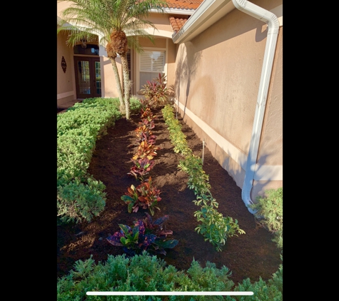 Willis Lawn Care - Sarasota, FL. Sarasota landscape install