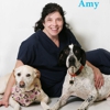 Cape May Veterinary Hospital gallery