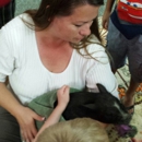 Big Red Barn Preschool - Preschools & Kindergarten
