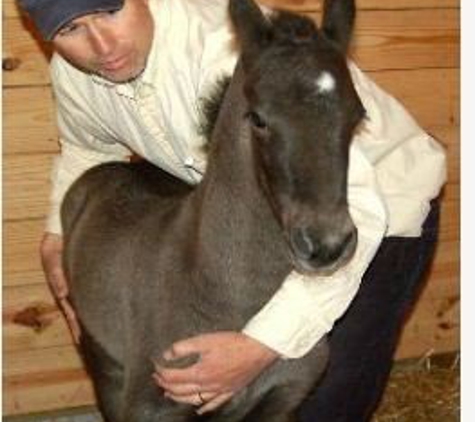 Tidewater Equine Clinic & Farm Animal Services - Williamsburg, VA