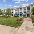 Realm at Patterson Place - Apartments