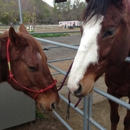 El Rodeo Stables - Stables