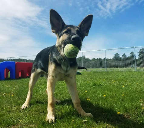 Paws & Relax - Spearfish, SD