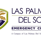 Las Palmas Del Sol Emergency Room Northeast