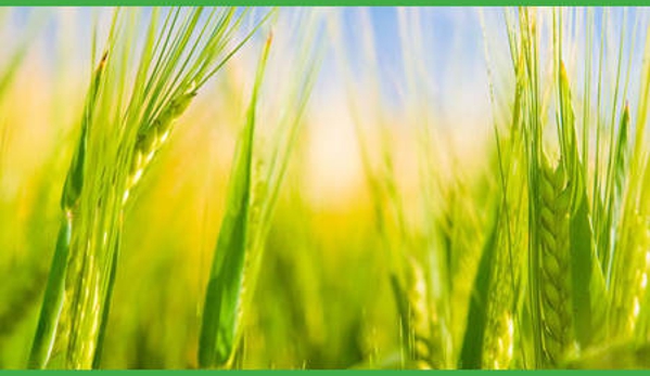 Wiggies Pty Ltd - Maffra, VIC