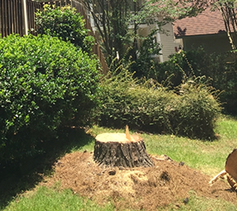 Southeastern Tree Removal - Columbia, SC