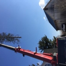 T R Timberline Tree Service - Tree Service