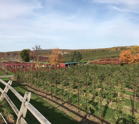 Belltown Hill Orchards - South Glastonbury, CT