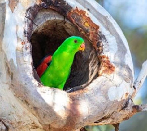 Toowoomba Regional Council - Hampton - Hampton, QLD