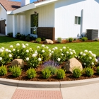 Vision Landscaping