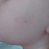 Robert D. Willis DDS PC gallery