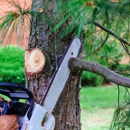 Mark's Stump Removal & Tree Service - Tree Service