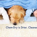 Chem-Dry of Cary - Upholstery Cleaners