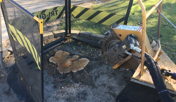 Tom's Stump Grinding - Chesterton, IN