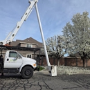 Supreme Tree Service - Tree Service