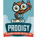Prodigy Plumbing - Fireplaces