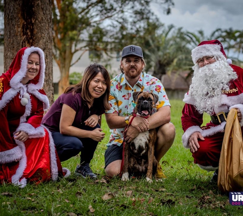 Urban Dog Training - Carindale, QLD
