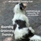 All Creatures Country Club Inc