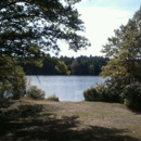 Houghton's Pond Recreation Area - Fishing Lakes & Ponds