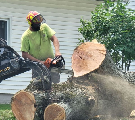 Hudson Tree Service - Enon Valley, PA